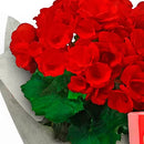 Begônia Vermelha e Chocolate Lindt