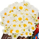 Cesta de Chocolates Doçura