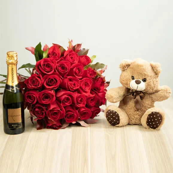 Kit 12 Rosas Importadas Vermelhas Com Chandon e Pelúcia