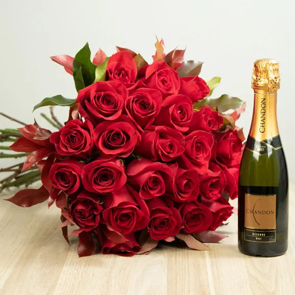 Kit 12 Rosas Importadas Vermelhas e Chandon