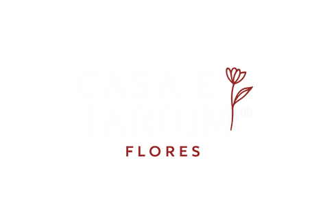 Logo limpo sem contorno vermelho