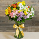 Luxuosas Alstromérias Coloridas no Vaso