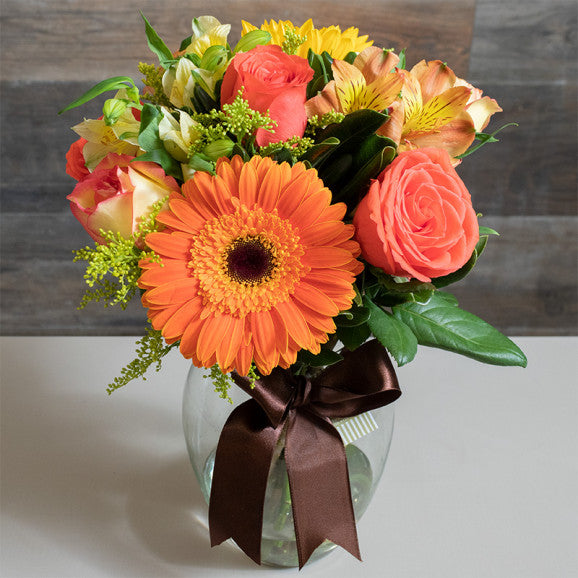 Mix do Campo No Vaso