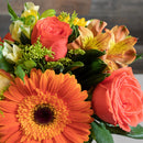 Mix do Campo No Vaso