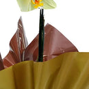 Orquídea Phalaenopsis Amarela Presente