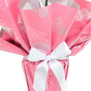 Orquídea Phalaenopsis Pink