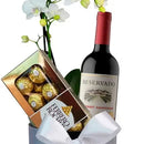 Sofisticada Mini Orquídea Branca e Vinho