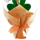 Mini Orquídea Rara Branca