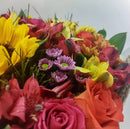 Girassóis e Alegria Luxo