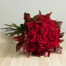 Kit 12 Rosas Importadas Vermelhas Com Chandon e Pelúcia