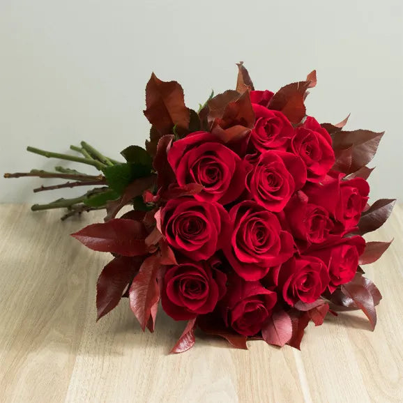 Kit 12 Rosas Importadas Vermelhas e Chandon