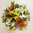 Luxuosas Alstromérias Coloridas no Vaso