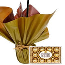 Orquídea Phalaenopsis Plantada e Ferrero