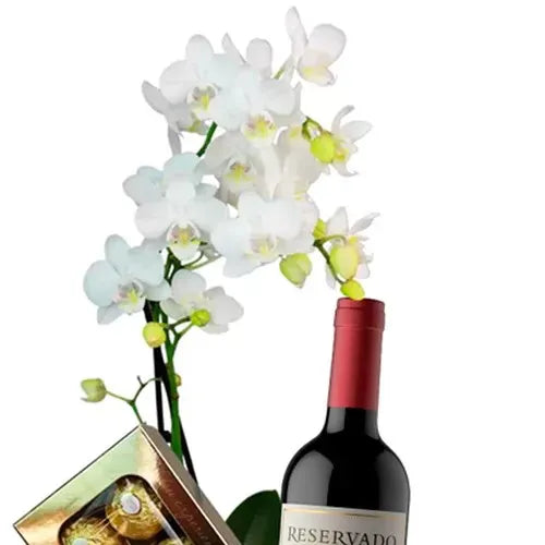 Sofisticada Mini Orquídea Branca e Vinho